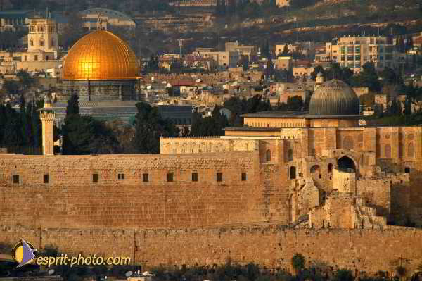 Nom de l'image : D1203709-1 — Description :  Voyage en Terre Sainte avec Jeunesse Lumière