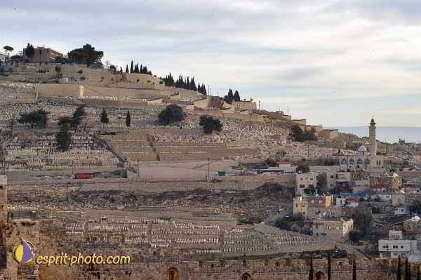 Nom de l'image : E00023832-1 — Description :