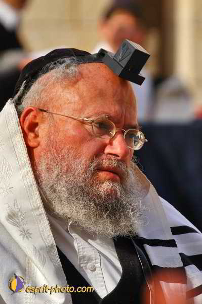 Nom de l'image : D1200678-1 — Description :  Voyage en Terre Sainte avec Jeunesse Lumière