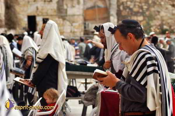 Nom de l'image : D1200726-1 — Description :  Voyage en Terre Sainte avec Jeunesse Lumière