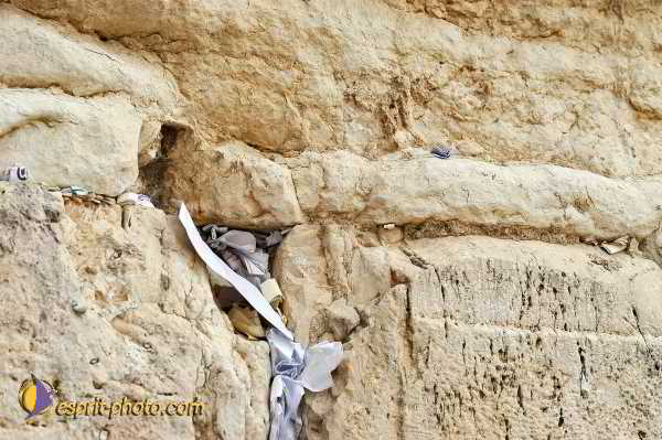 Nom de l'image : D1200736-1 — Description :  Voyage en Terre Sainte avec Jeunesse Lumière