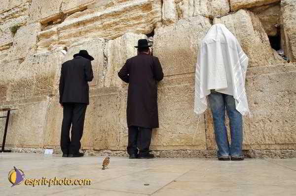 Nom de l'image : D1200766-1 — Description :  Voyage en Terre Sainte avec Jeunesse Lumière