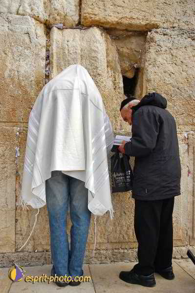 Nom de l'image : D1200781-1 — Description :  Voyage en Terre Sainte avec Jeunesse Lumière