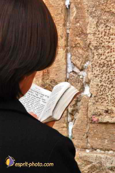 Nom de l'image : E00023874-1 — Description :