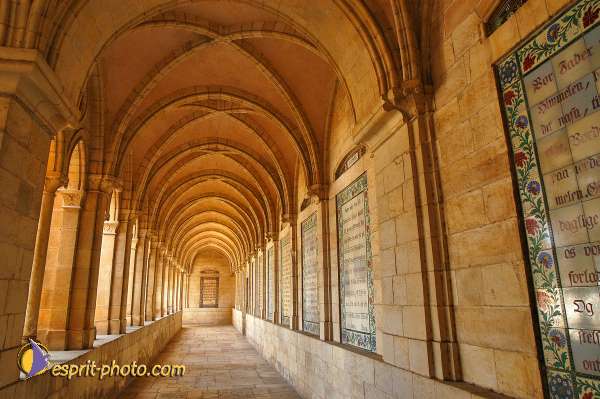 Nom de l'image : D1200856-1 — Description :  Voyage en Terre Sainte avec Jeunesse Lumière