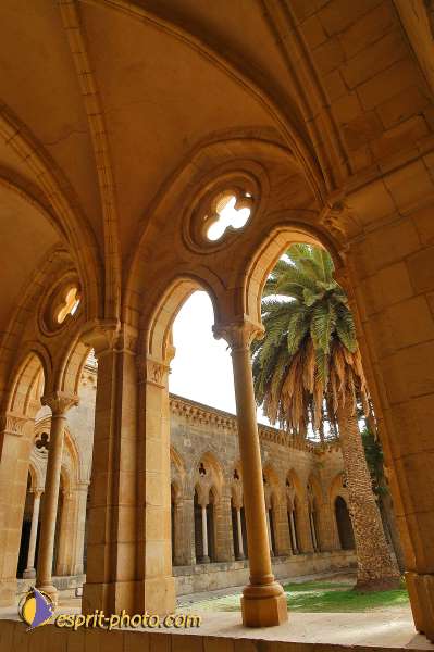 Nom de l'image : D1200873-1 — Description :  Voyage en Terre Sainte avec Jeunesse Lumière