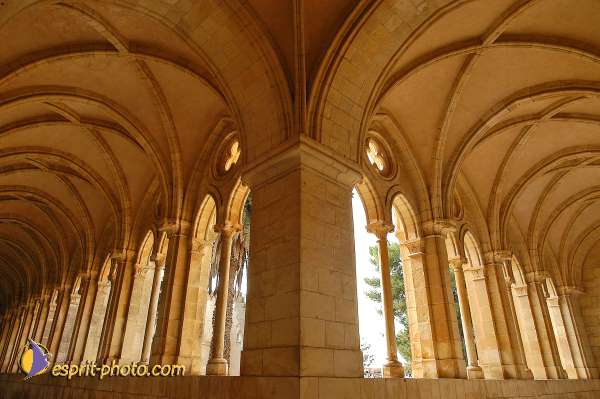 Nom de l'image : D1200884-1 — Description :  Voyage en Terre Sainte avec Jeunesse Lumière