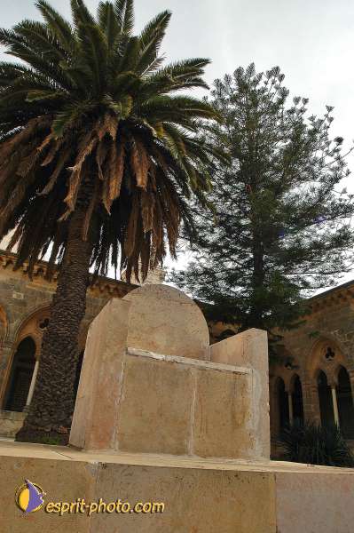 Nom de l'image : D1200898-1 — Description :  Voyage en Terre Sainte avec Jeunesse Lumière