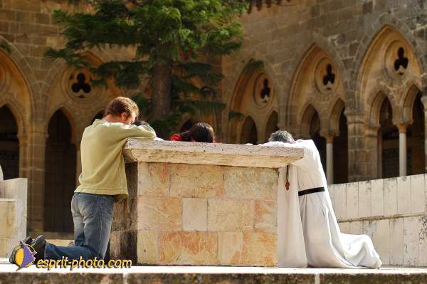 Nom de l'image : D1200916-1 — Description :  Voyage en Terre Sainte avec Jeunesse Lumière