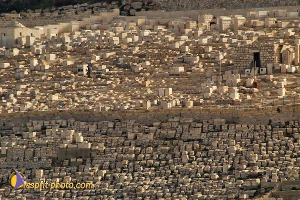 Nom de l'image : D1200651-1 — Description :  Voyage en Terre Sainte avec Jeunesse Lumière