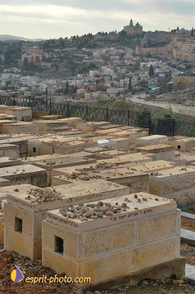 Nom de l'image : D1201033-1 — Description :  Voyage en Terre Sainte avec Jeunesse Lumière