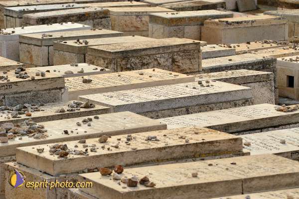 Nom de l'image : D1201034-1 — Description :  Voyage en Terre Sainte avec Jeunesse Lumière