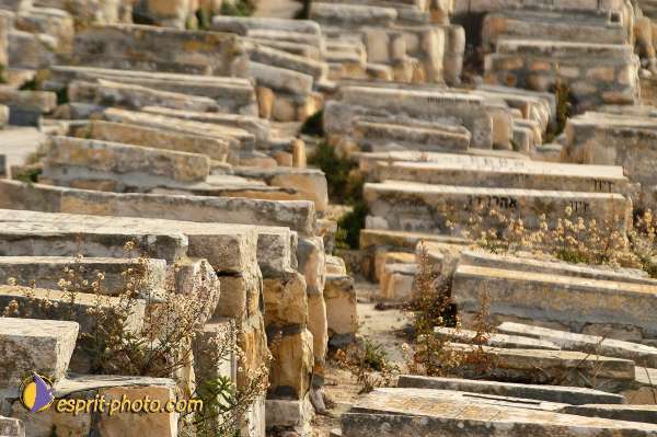 Nom de l'image : D1201043-1 — Description :  Voyage en Terre Sainte avec Jeunesse Lumière