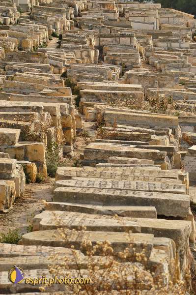 Nom de l'image : D1201047-1 — Description :  Voyage en Terre Sainte avec Jeunesse Lumière
