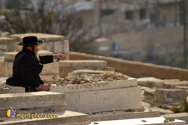 Nom de l'image : D1201052-1 — Description :  Voyage en Terre Sainte avec Jeunesse Lumière