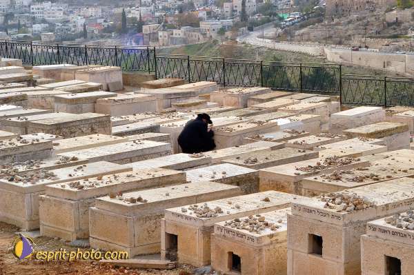 Nom de l'image : E00024087-1 — Description :