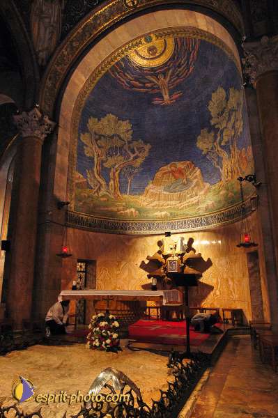 Nom de l'image : D1201098-1 — Description :  Voyage en Terre Sainte avec Jeunesse Lumière