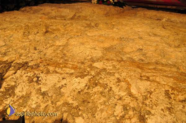 Nom de l'image : D1201112-1 — Description :  Voyage en Terre Sainte avec Jeunesse Lumière