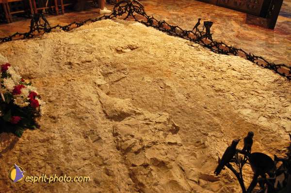 Nom de l'image : D1201117-1 — Description :  Voyage en Terre Sainte avec Jeunesse Lumière