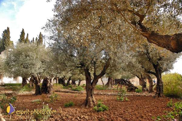 Nom de l'image : E00024103-1 — Description :