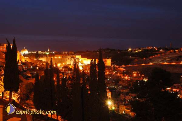 Nom de l'image : D1201230-1 — Description :  Voyage en Terre Sainte avec Jeunesse Lumière