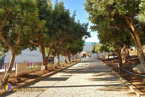 Nom de l'image : D1201606-1 — Description :  Voyage en Terre Sainte avec Jeunesse Lumière