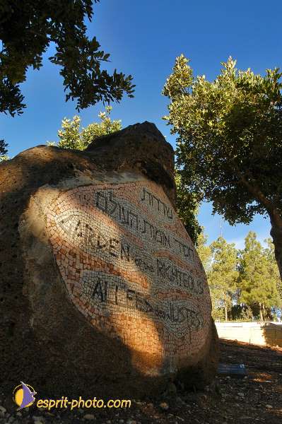 Nom de l'image : D1201607-1 — Description :  Voyage en Terre Sainte avec Jeunesse Lumière