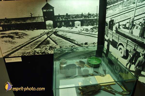 Nom de l'image : D1201734-1 — Description :  Voyage en Terre Sainte avec Jeunesse Lumière