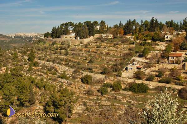 Nom de l'image : D1201781-1 — Description :  Voyage en Terre Sainte avec Jeunesse Lumière
