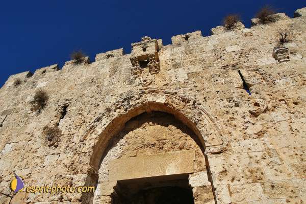 Nom de l'image : D1201972-1 — Description :  Voyage en Terre Sainte avec Jeunesse Lumière