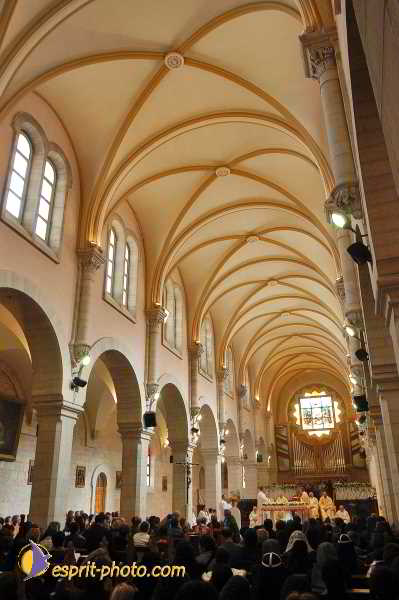 Nom de l'image : D1203099-1 — Description :  Voyage en Terre Sainte avec Jeunesse Lumière