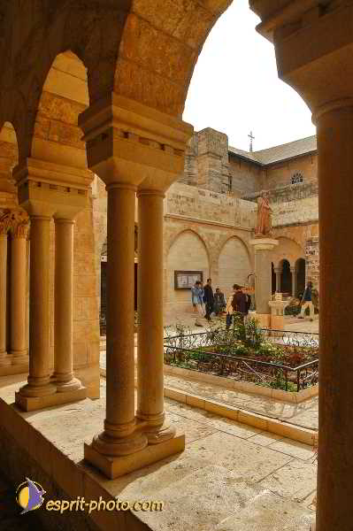 Nom de l'image : D1203121-1 — Description :  Voyage en Terre Sainte avec Jeunesse Lumière