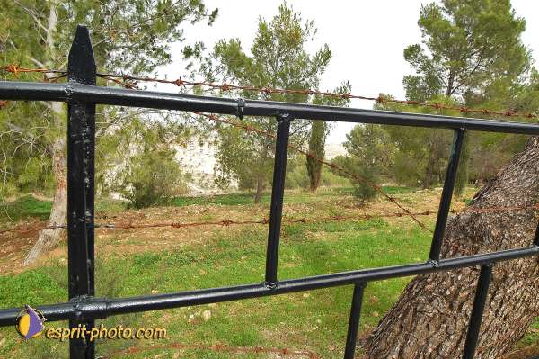 Nom de l'image : D1203160-1 — Description :  Voyage en Terre Sainte avec Jeunesse Lumière