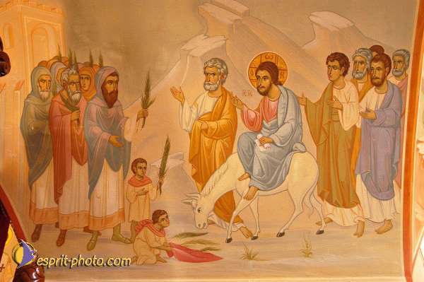 Nom de l'image : D1203383-1 — Description :  Voyage en Terre Sainte avec Jeunesse Lumière