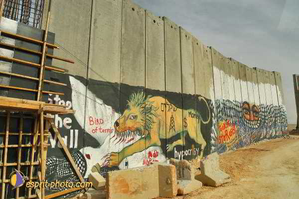 Nom de l'image : D1203204-1 — Description :  Voyage en Terre Sainte avec Jeunesse Lumière