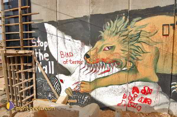 Nom de l'image : E00024806-1 — Description :