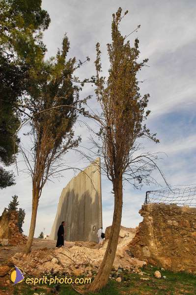 Nom de l'image : D1203599-1 — Description :  Voyage en Terre Sainte avec Jeunesse Lumière