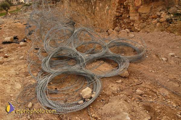 Nom de l'image : D1203613-1 — Description :  Voyage en Terre Sainte avec Jeunesse Lumière