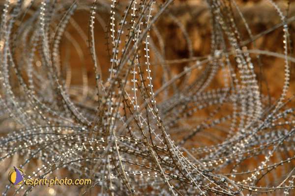 Nom de l'image : D1203616-1 — Description :  Voyage en Terre Sainte avec Jeunesse Lumière