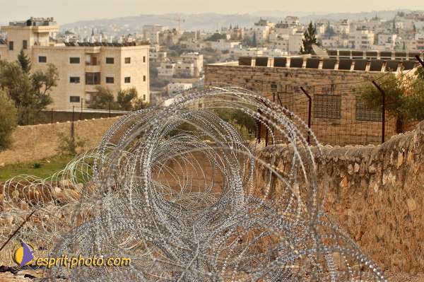 Nom de l'image : D1203634-1 — Description :  Voyage en Terre Sainte avec Jeunesse Lumière