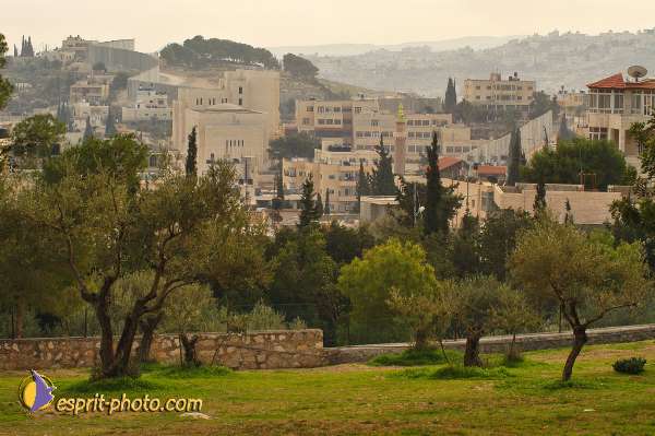 Nom de l'image : D1203650-1 — Description :  Voyage en Terre Sainte avec Jeunesse Lumière