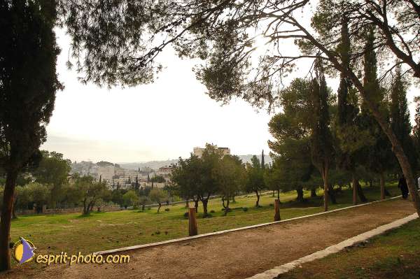 Nom de l'image : D1203658-1 — Description :  Voyage en Terre Sainte avec Jeunesse Lumière