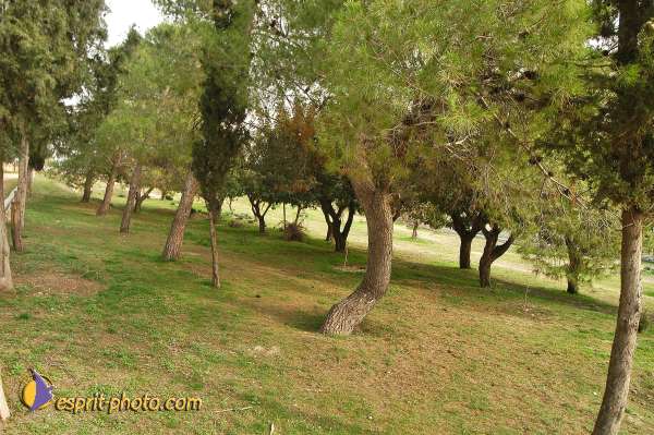 Nom de l'image : D1203670-1 — Description :  Voyage en Terre Sainte avec Jeunesse Lumière