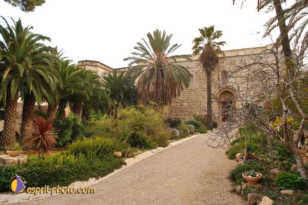 Nom de l'image : D1203736-1 — Description :  Voyage en Terre Sainte avec Jeunesse Lumière