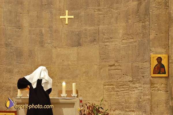 Nom de l'image : D1203776-1 — Description :  Voyage en Terre Sainte avec Jeunesse Lumière