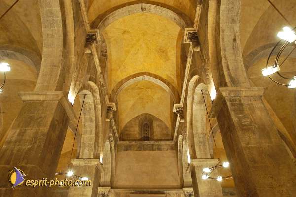 Nom de l'image : D1203803-1 — Description :  Voyage en Terre Sainte avec Jeunesse Lumière