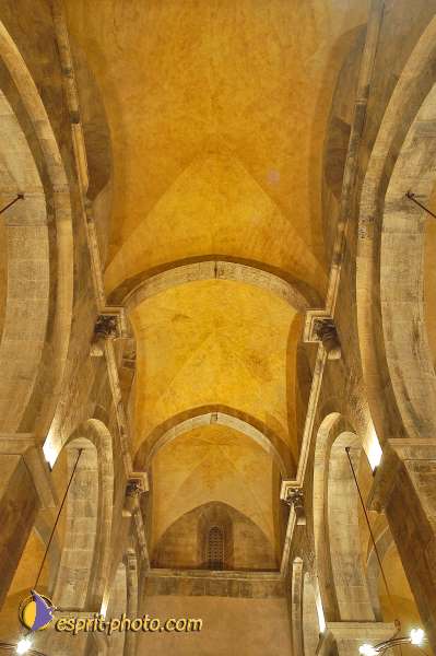 Nom de l'image : D1203805-1 — Description :  Voyage en Terre Sainte avec Jeunesse Lumière