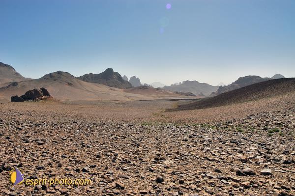 Nom de l'image : D1235408-1 — Description :