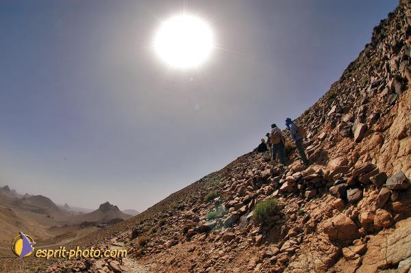 Nom de l'image : D1235626-1 — Description :