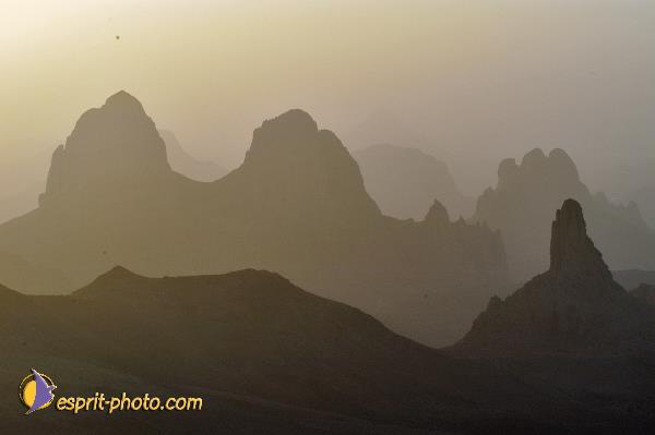 Nom de l'image : D1236164-1 — Description :